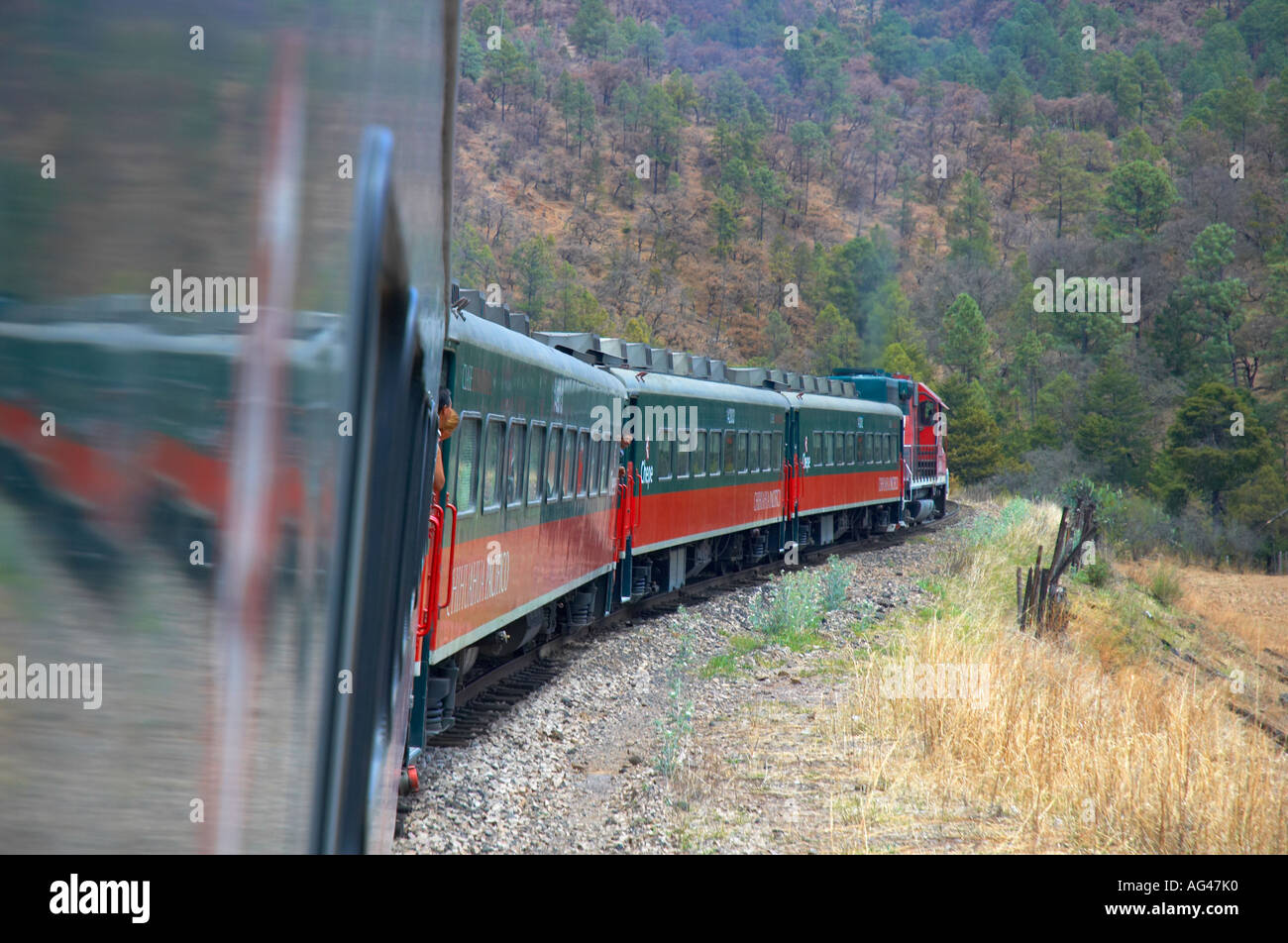 El Chepe Zug Copper Canyon Mexiko Stockfoto