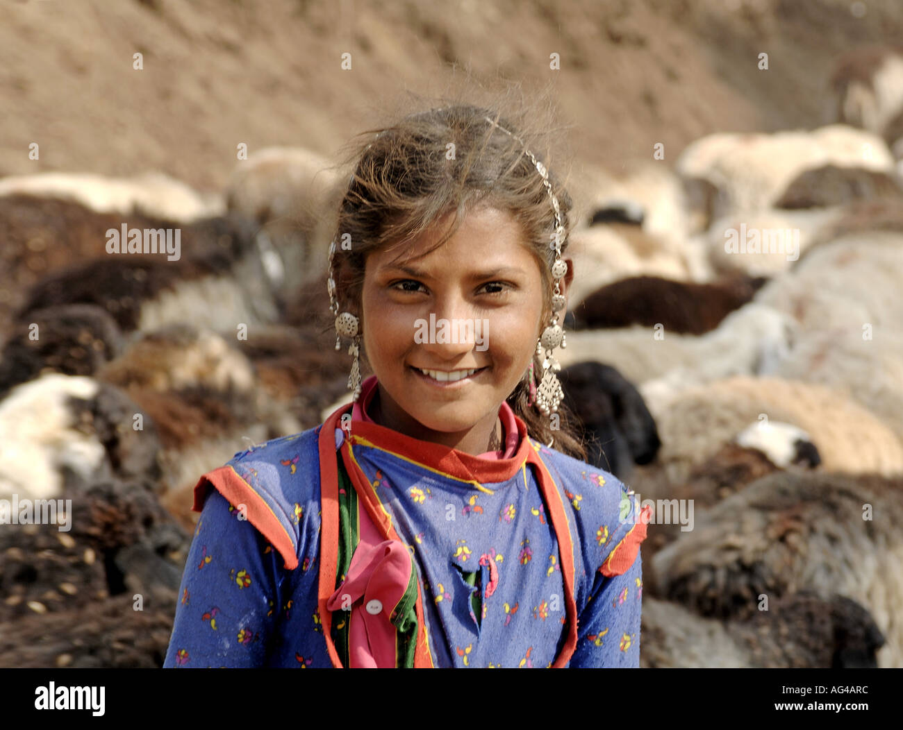 Shepherd Mädchen lächelnd zerrissene Kleidung Silberschmuck Ohrring mit Schafen und Ziegen Akot Akola Amravati Vidarbha Maharashtra Indien Asien Stockfoto