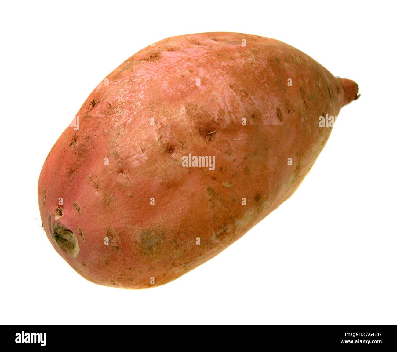 Süßkartoffel der besonderen Art Stockfoto