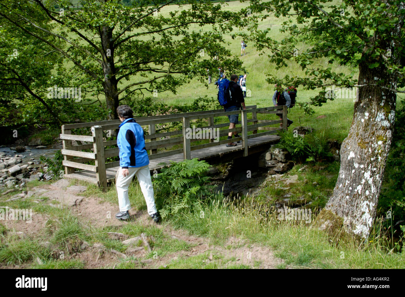 Geführte walking Gruppe Kreuzung Fußgängerbrücke über Stream auf der Taff Trail in Brecon Beacons National Park Powys South Wales UK Stockfoto