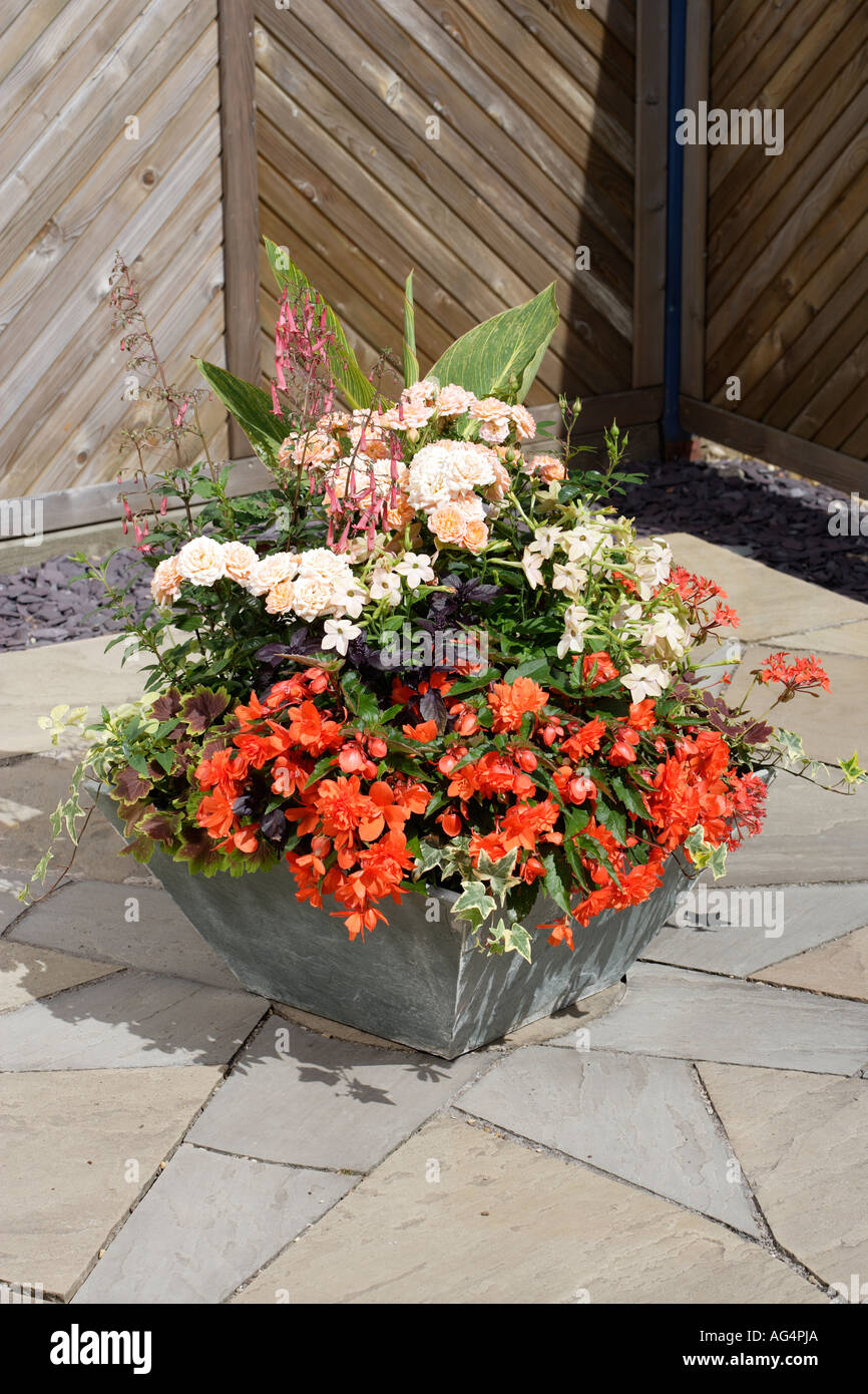 Terrasse-Topf mit verschiedenen Blumen bepflanzt Stockfoto