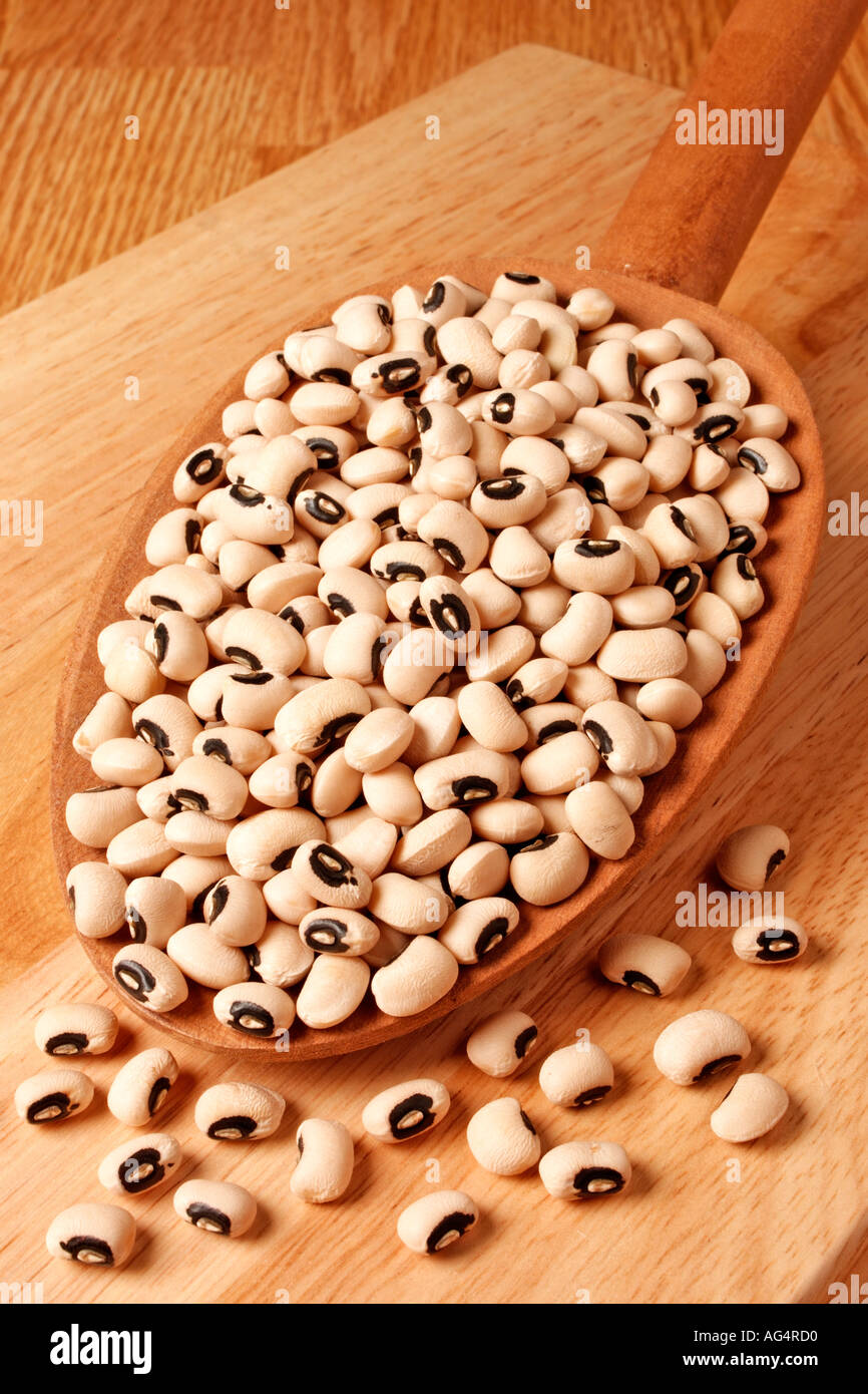 BLACK EYED PEA BEAN Stockfoto BLACK EYED PEA BEAN Stockfoto