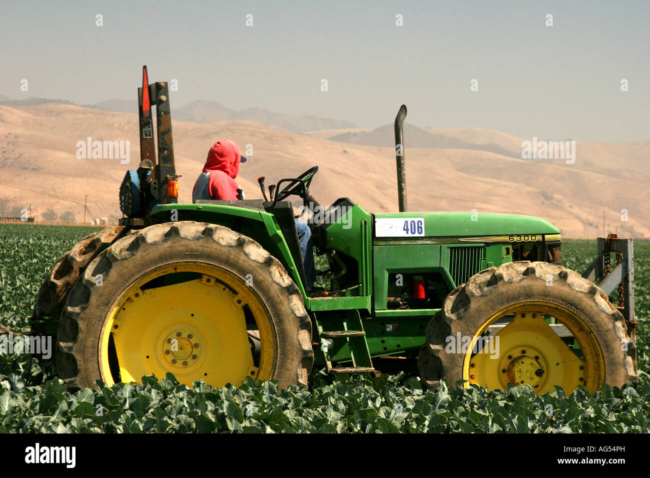 Kapuzen-Wanderarbeitnehmer, die einen Traktor in Santa Barbara County Kalifornien zu fahren Stockfoto