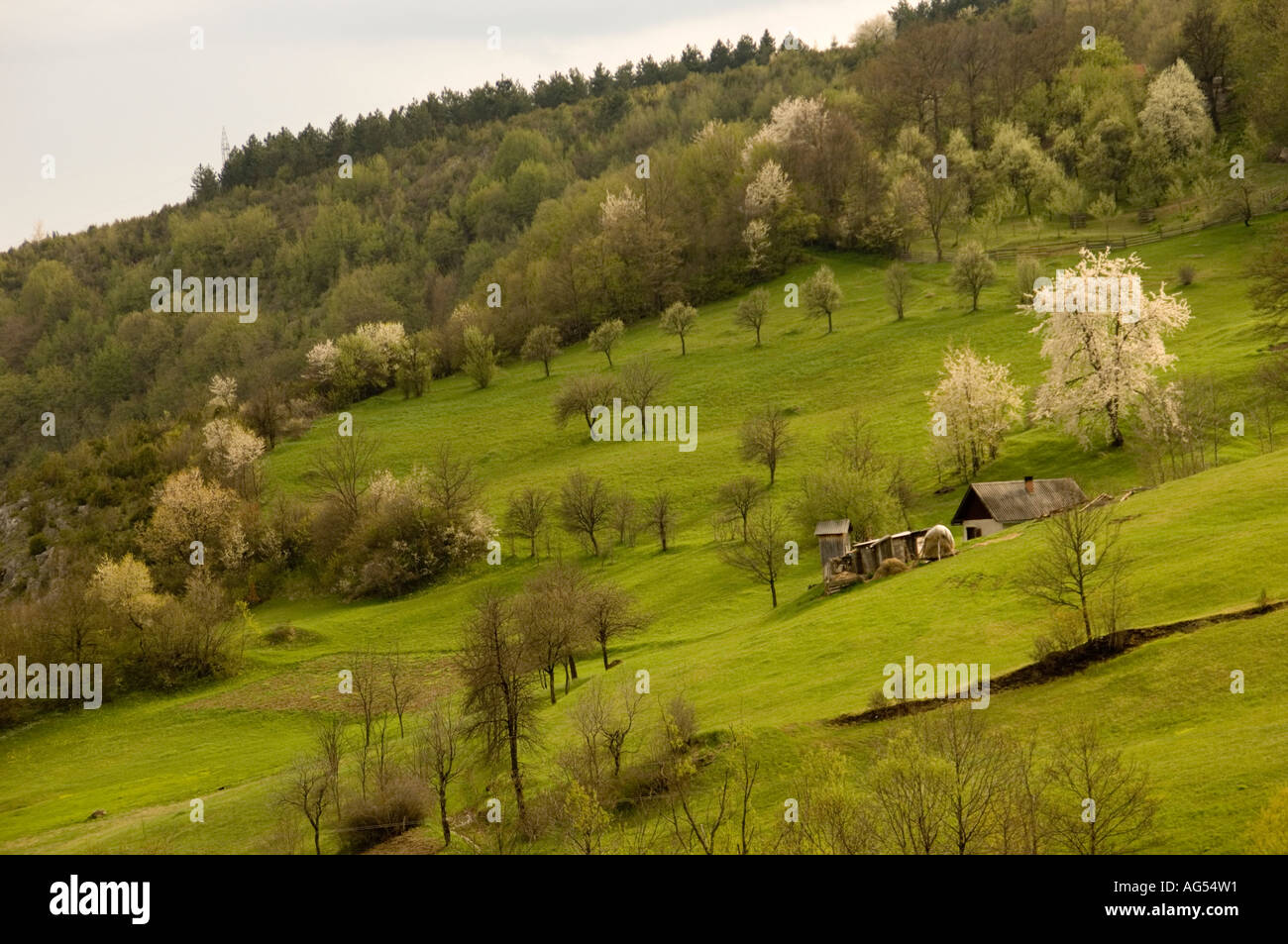 Landschaft mit Häusern rund um Nova Varos, Serbien Stockfoto