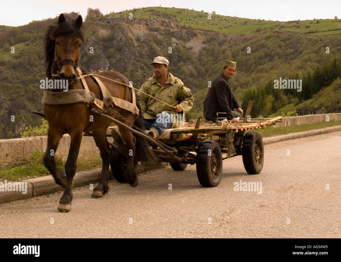 Pferdetransporte auf dem Land rund um Nova Varos, Serbien Stockfoto