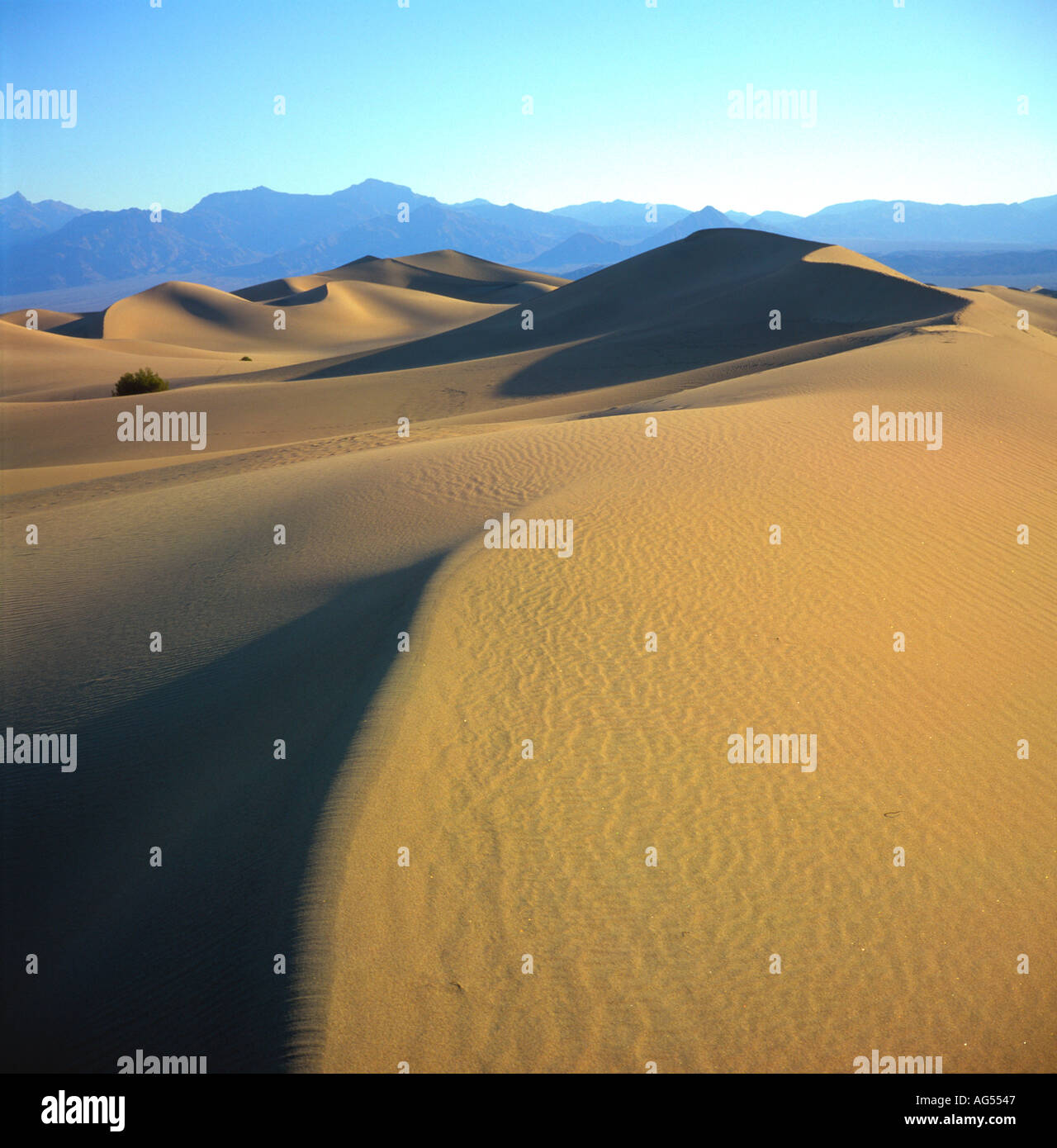 Sanddünen Stovepipe Wells Death Valley Kalifornien USA Stockfoto