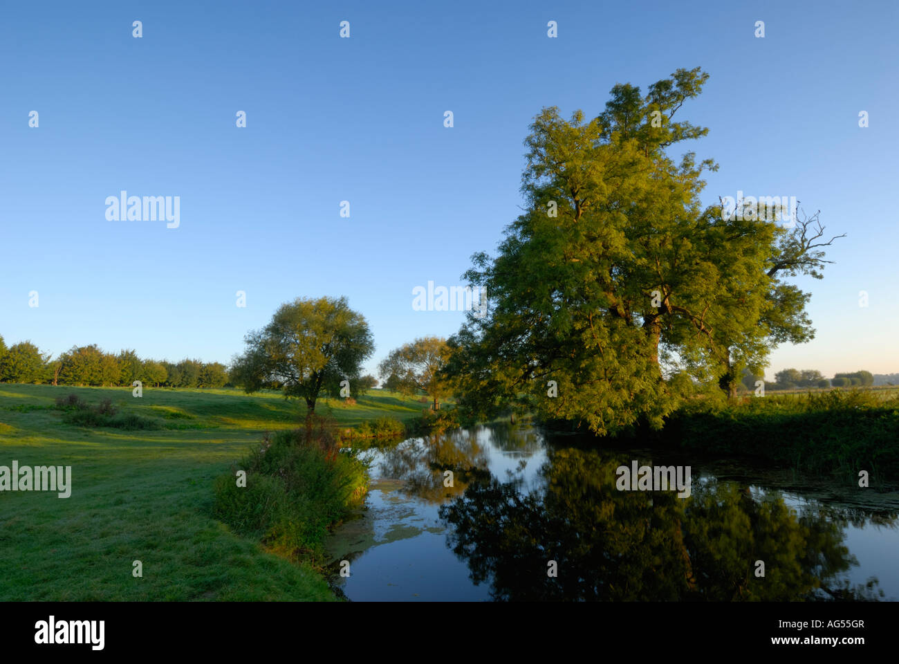 Grantchester Wiesen und der Fluss Cam Cambridge England UK Stockfoto