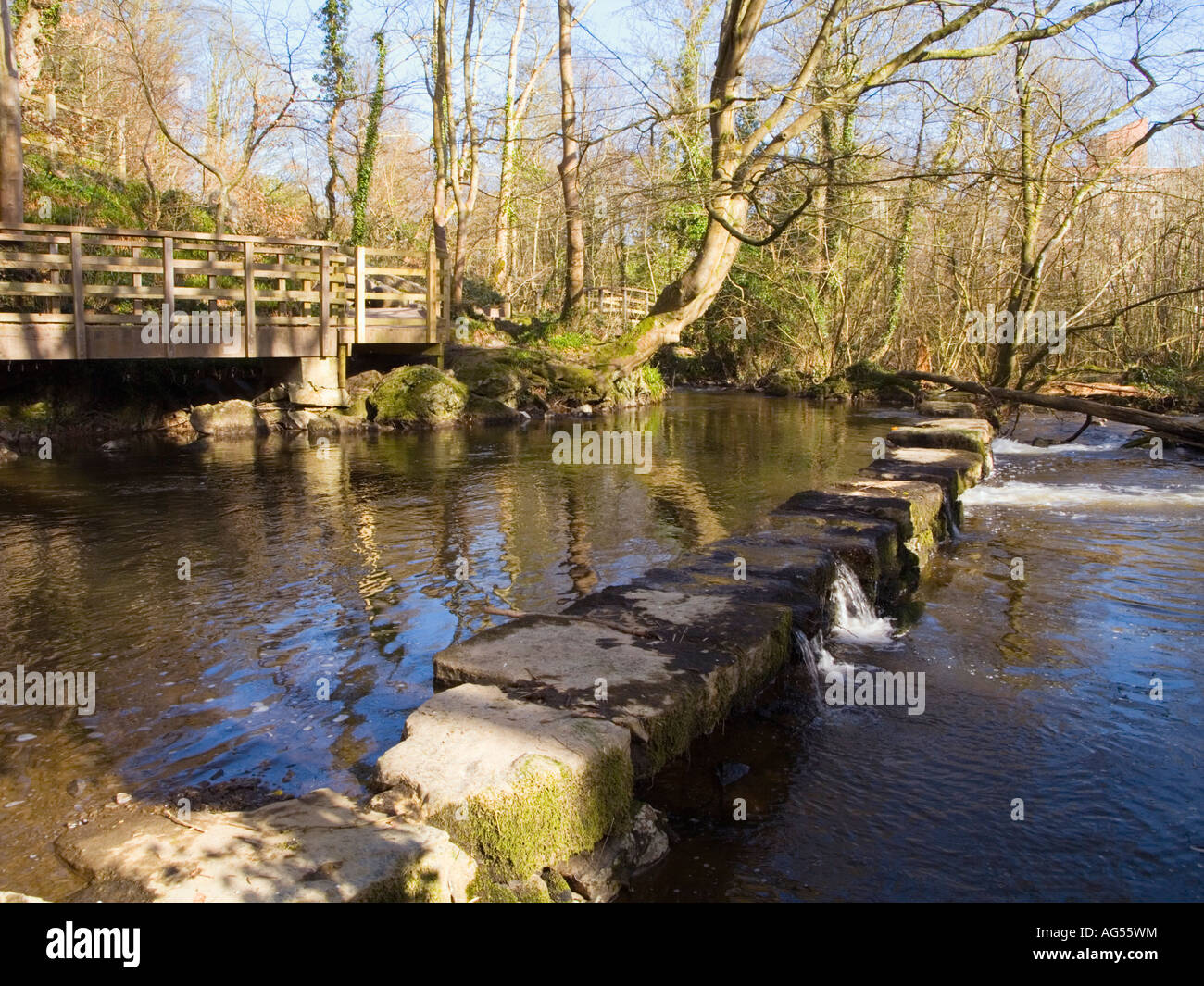 Trittsteine über den Afon Cefni River im Wald des Dingle Nant Y Pandy lokales Naturschutzgebiet Llangefni Isle of Anglesey Wales Großbritannien Stockfoto