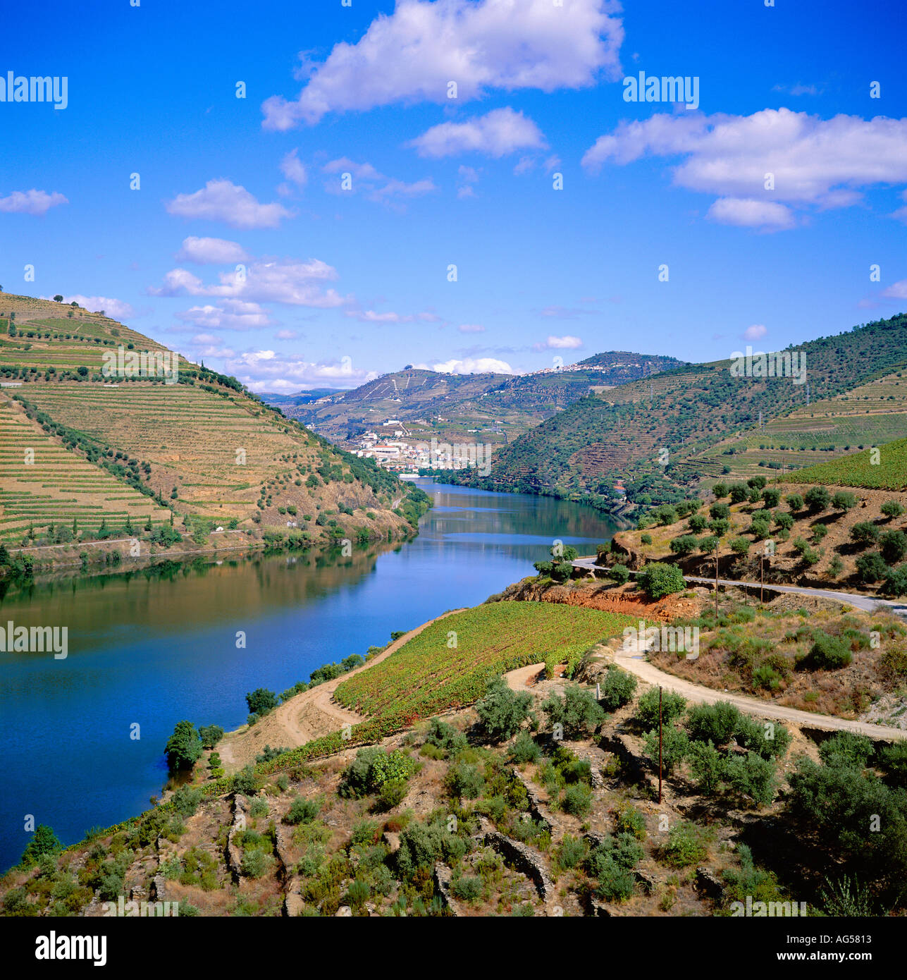 Portugal Minho Region Douro Fluss Reben Stadt Pinhao in Ferne Stockfoto