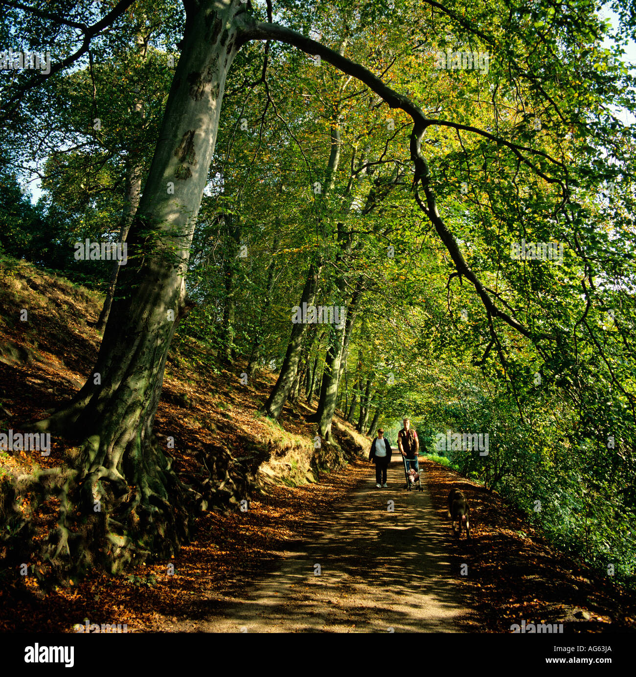 Cheshire Stockport Compstall Wanderer im Etherow Country Park Stockfoto