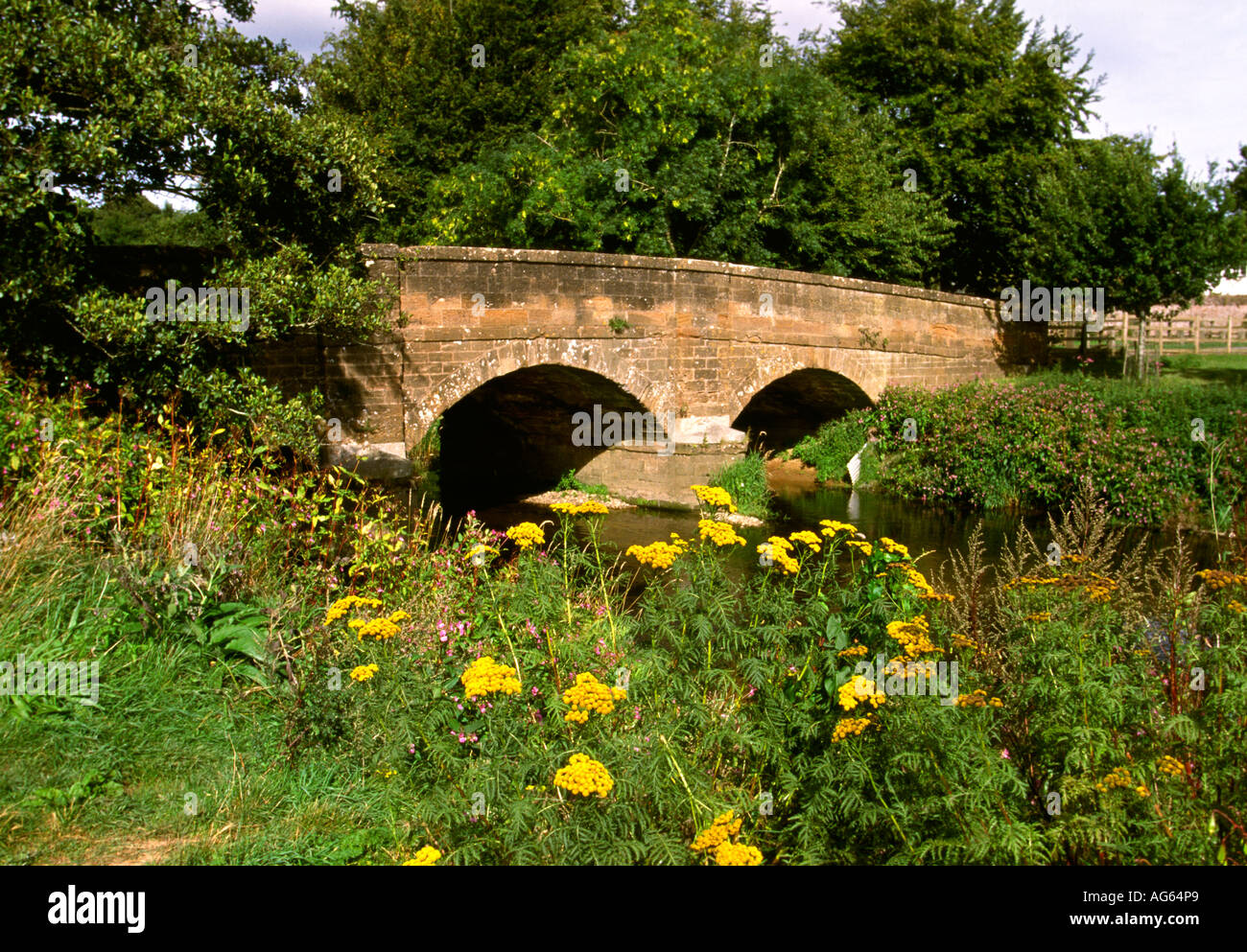 UK Devon Otterton alten Steinbrücke über Fischotter Stockfoto