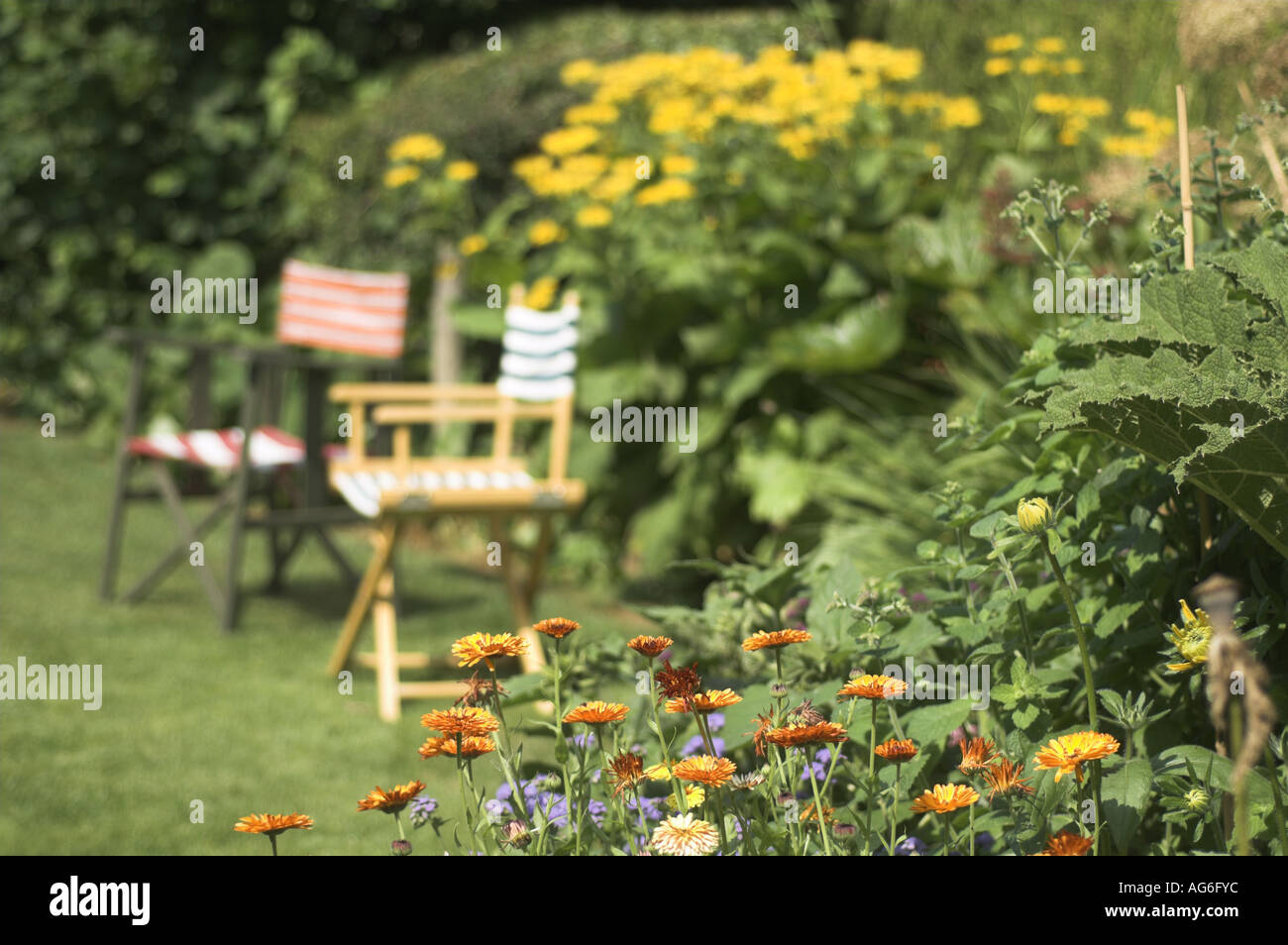 Sommer Garten Stillleben mit traditionellen Gartenstühlen und Blumen im Vordergrund Königreich Juli Stockfoto