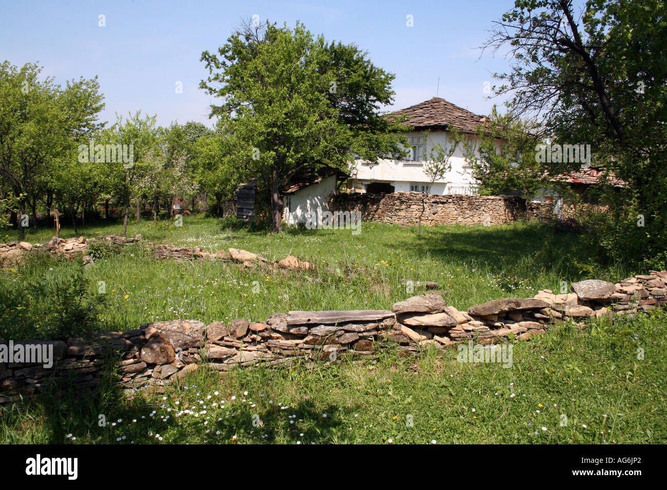 Wiese Stockfoto