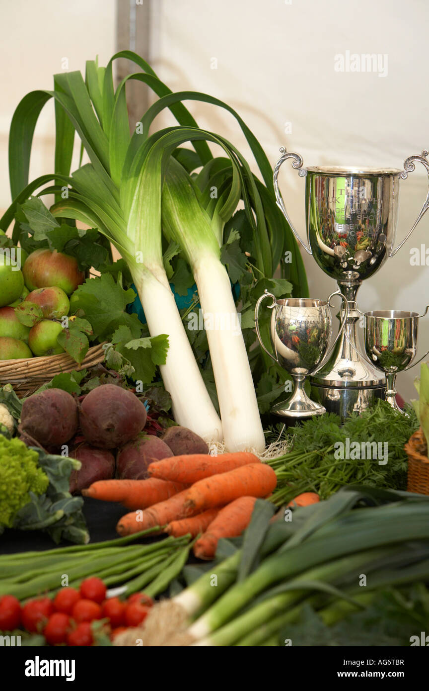 Preis gewinnende Gemüse und Trophäen auf dem Display in einem Zelt während einer Preisverleihung Stockfoto