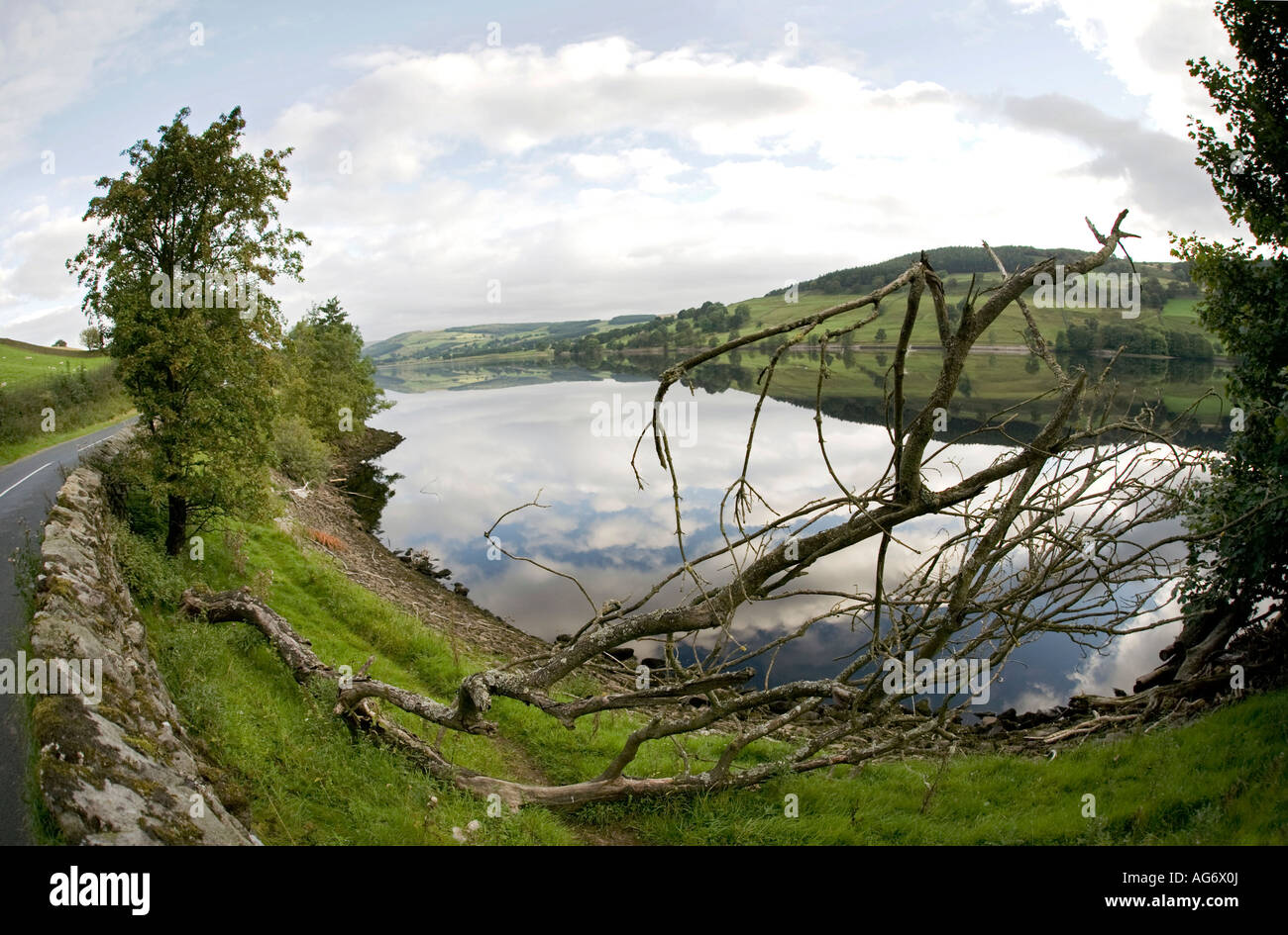 UK Yorkshire Nidderdale Pateley Bridge Gouthwaite Reservoir Wohnung ruhig in den frühen Morgenstunden Stockfoto