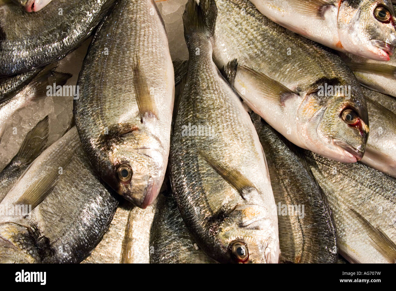 Frischer Fisch am Markt von Rialto in Venedig, Italien. Stockfoto