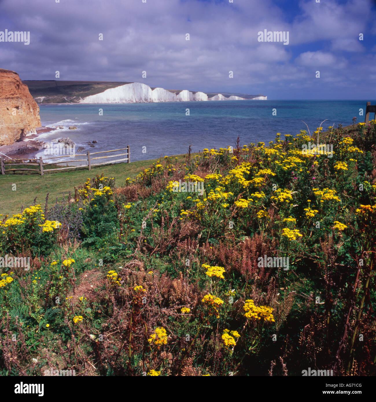 Sieben Schwestern, East Sussex, England Stockfoto