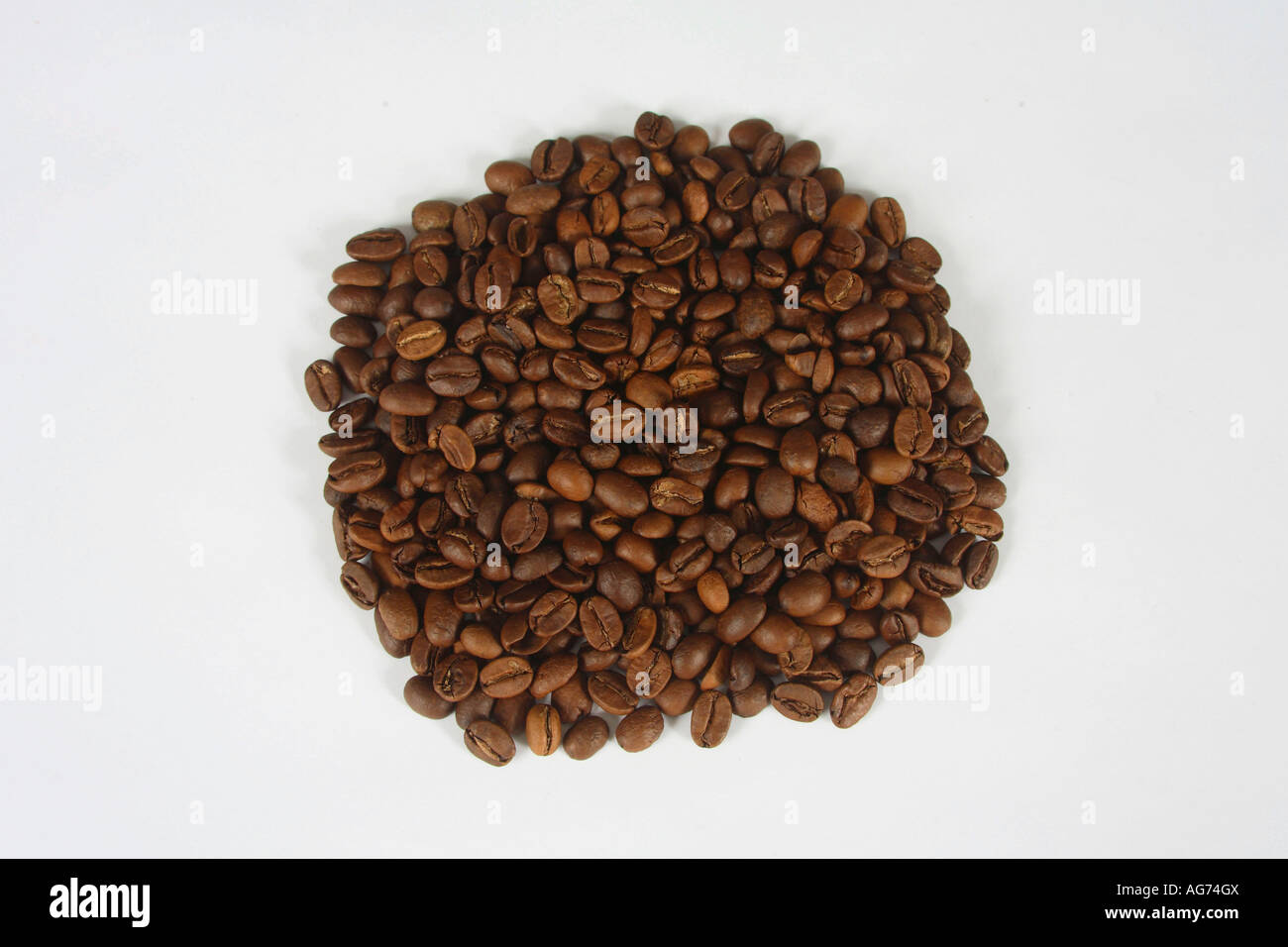 Kaffeebohnen Indien Monsooned Malabar geröstet Coffea arabica Stockfoto