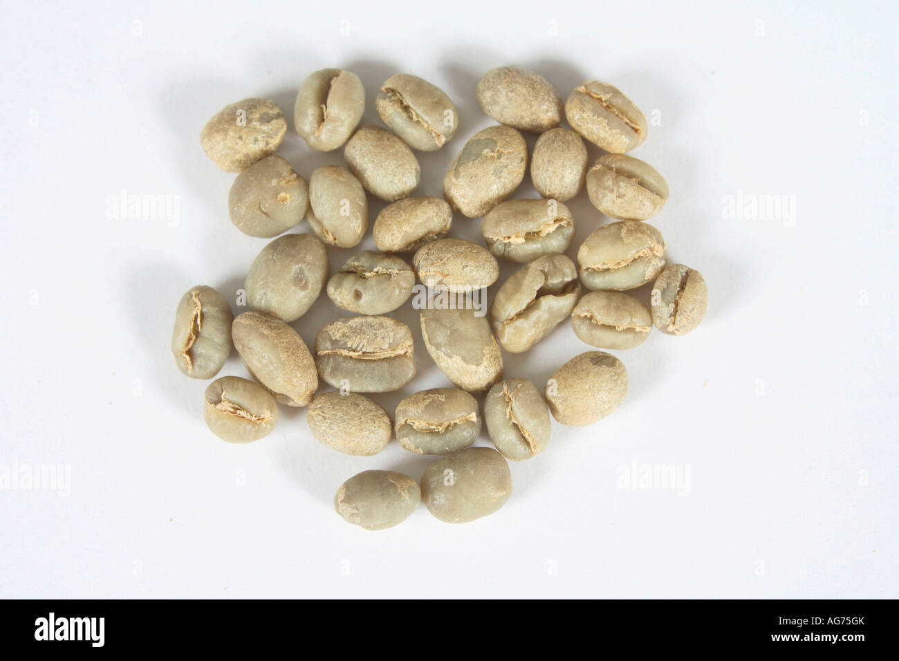 Indien Pearl Mountain roh Coffea Arabica Kaffeebohnen Stockfoto