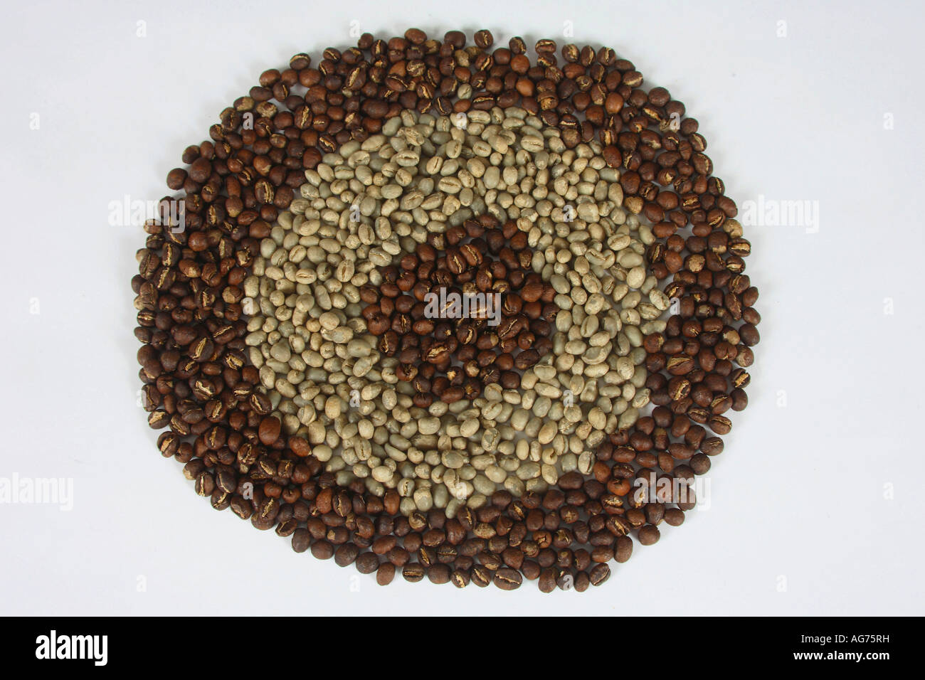 Indien Pearl Mountain rohe und geröstete Coffea Arabica Kaffeebohnen Stockfoto