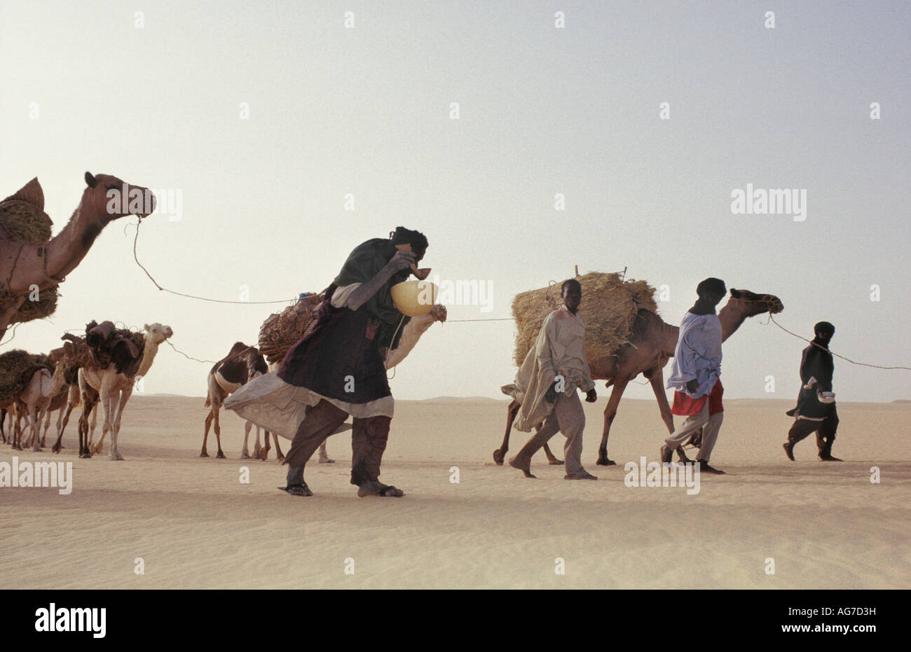 Niger Tenere Tuareg Stamm dabei traditionelle Salz Wohnwagen aus Agadez zu den Oasen Fachi und Bilma Stockfoto