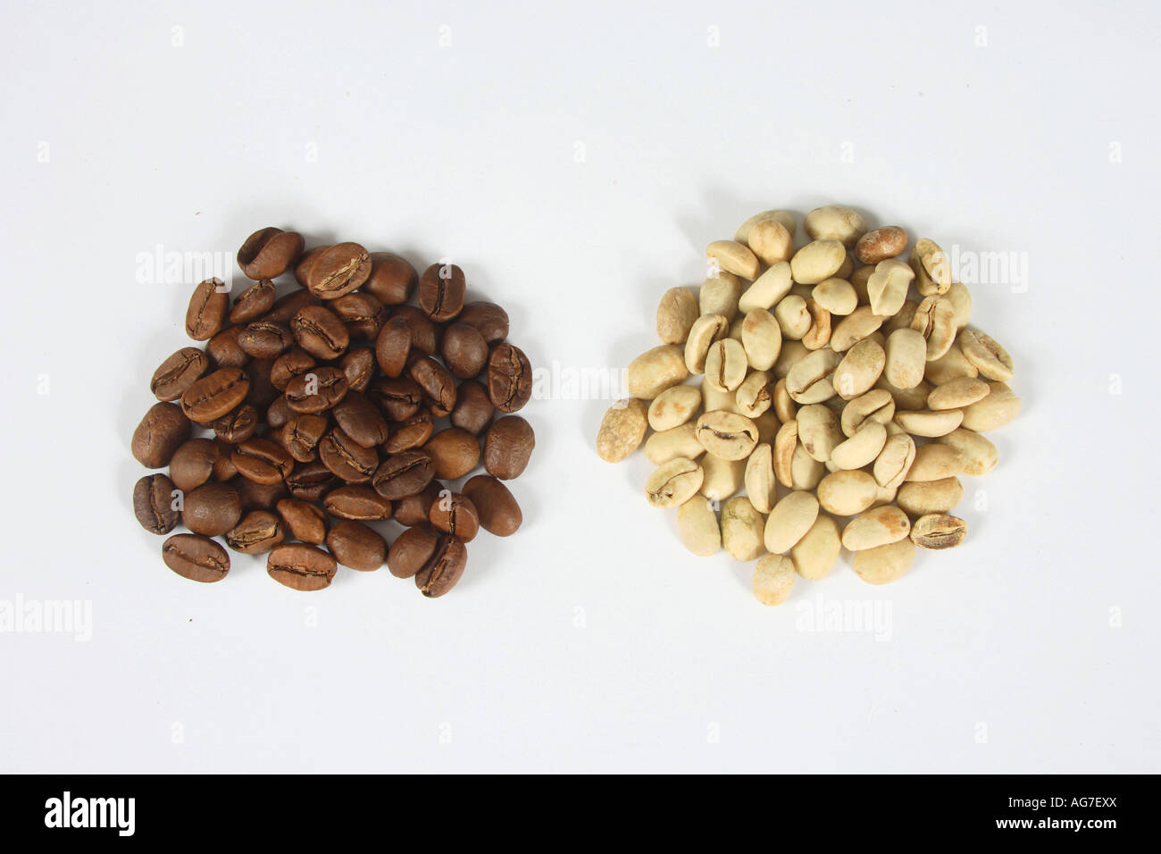 Indien Monsooned Malabar rohe und geröstete Coffea Arabica Kaffeebohnen Stockfoto