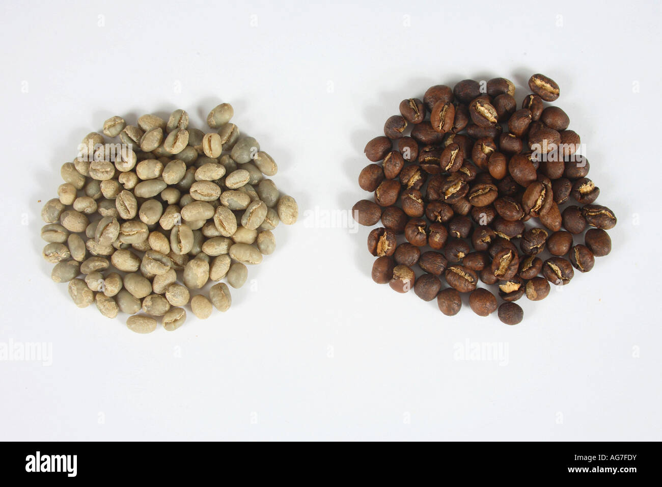 Indien Pearl Mountain rohe und geröstete Coffea Arabica Kaffeebohnen Stockfoto