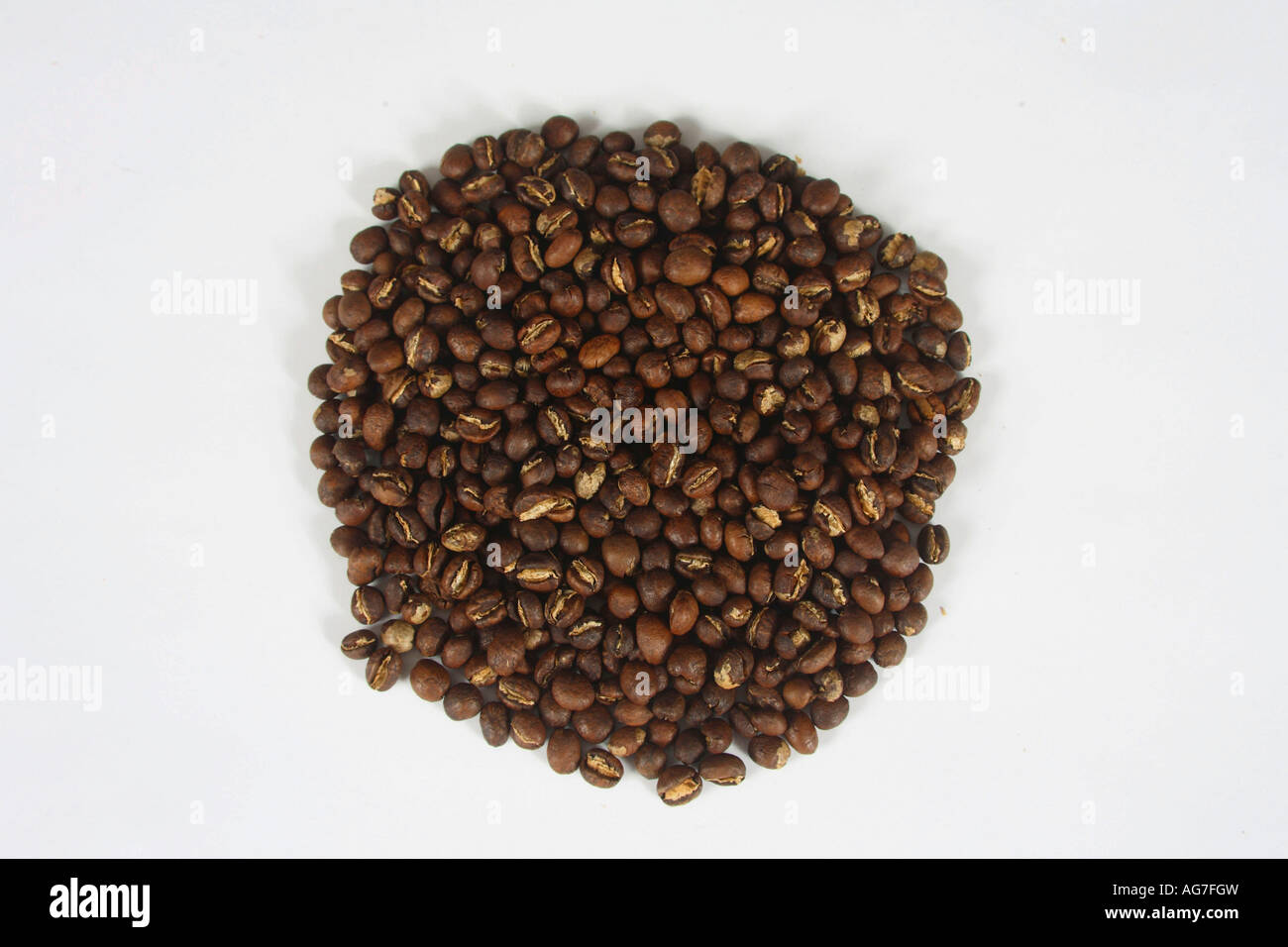 Indien Pearl Mountain Kaffeebohnen geröstet Coffea arabica Stockfoto