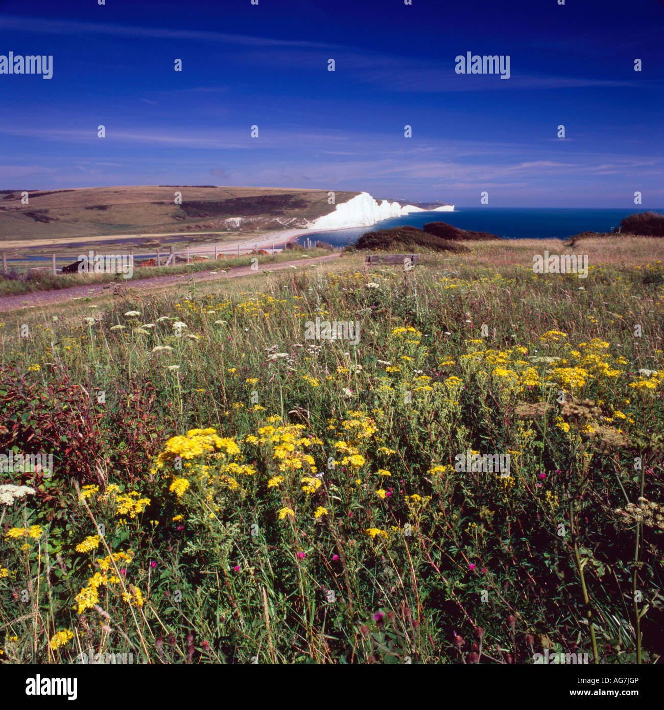 Sieben Schwestern, East Sussex, England Stockfoto