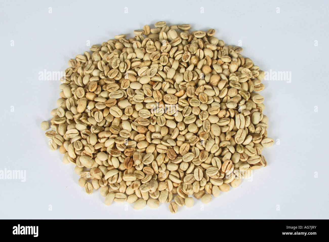 Indien Monsooned Malabar roh Coffea Arabica Kaffeebohnen Stockfoto