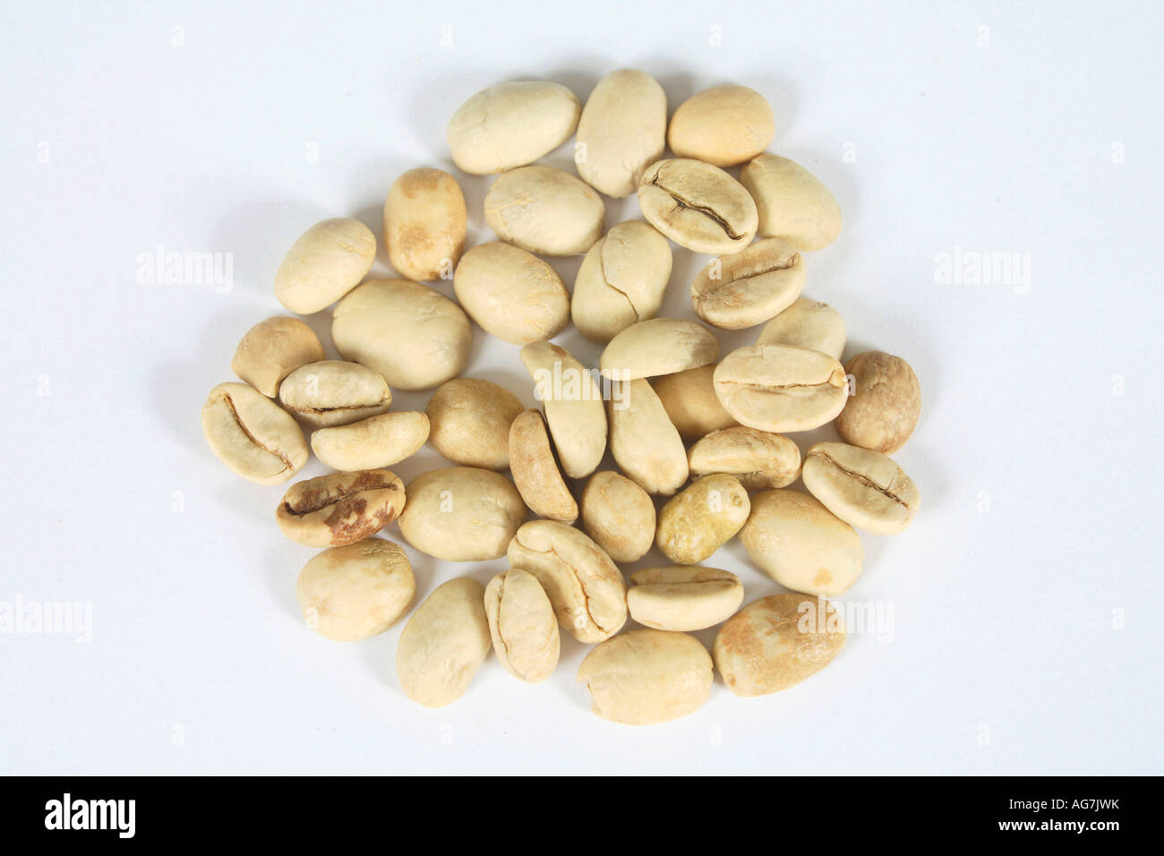 Indien Monsooned Malabar roh Coffea Arabica Kaffeebohnen Stockfoto
