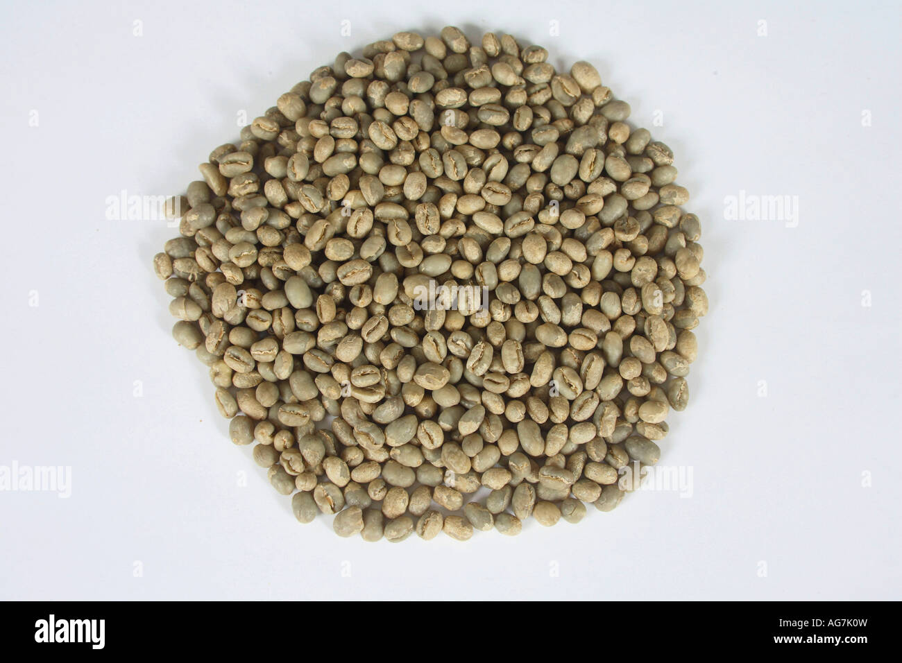 Indien Pearl Mountain roh Coffea Arabica Kaffeebohnen Stockfoto