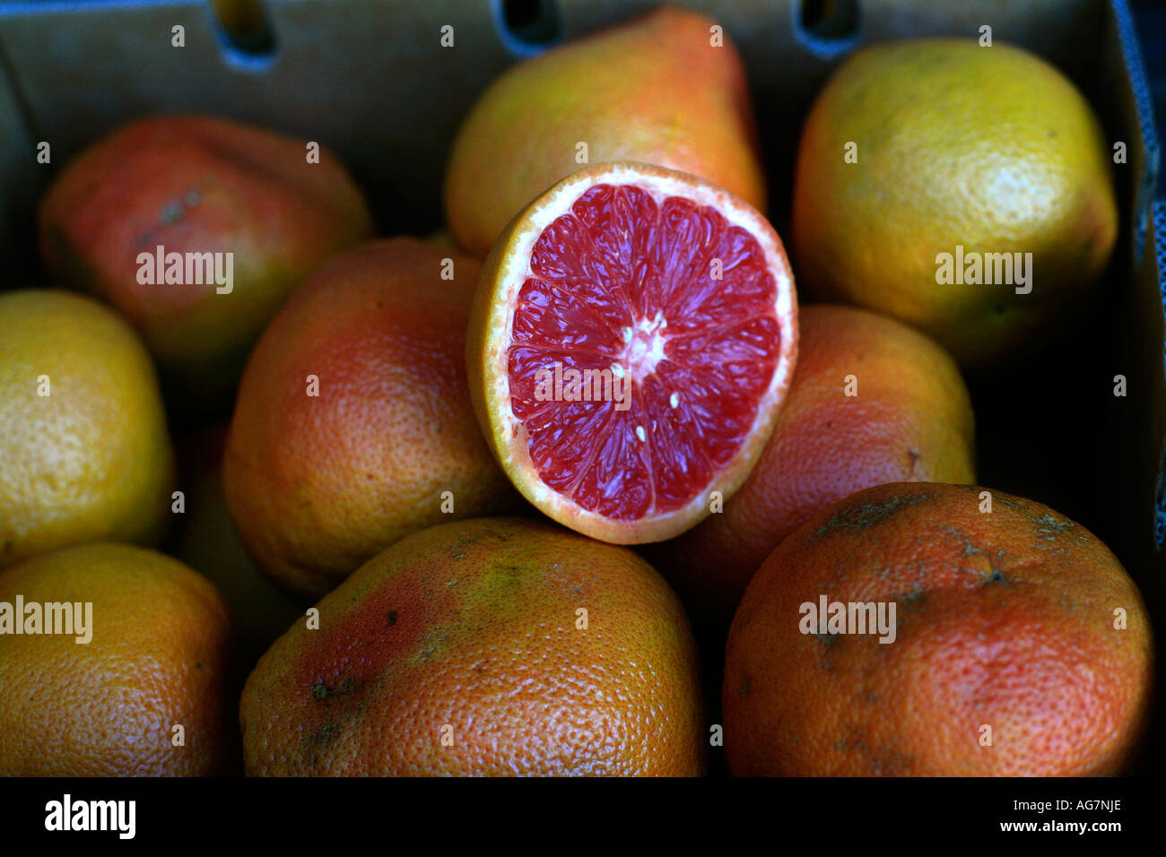 Rubin roter Grapefruit zum Verkauf an Flemington Markt in Sydney Australia Stockfoto