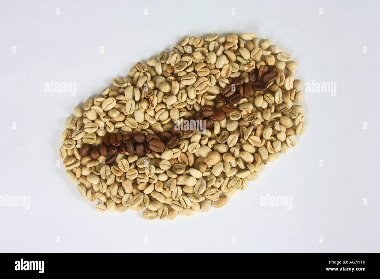 Indien Monsooned Malabar rohe und geröstete Coffea Arabica Kaffeebohnen Stockfoto