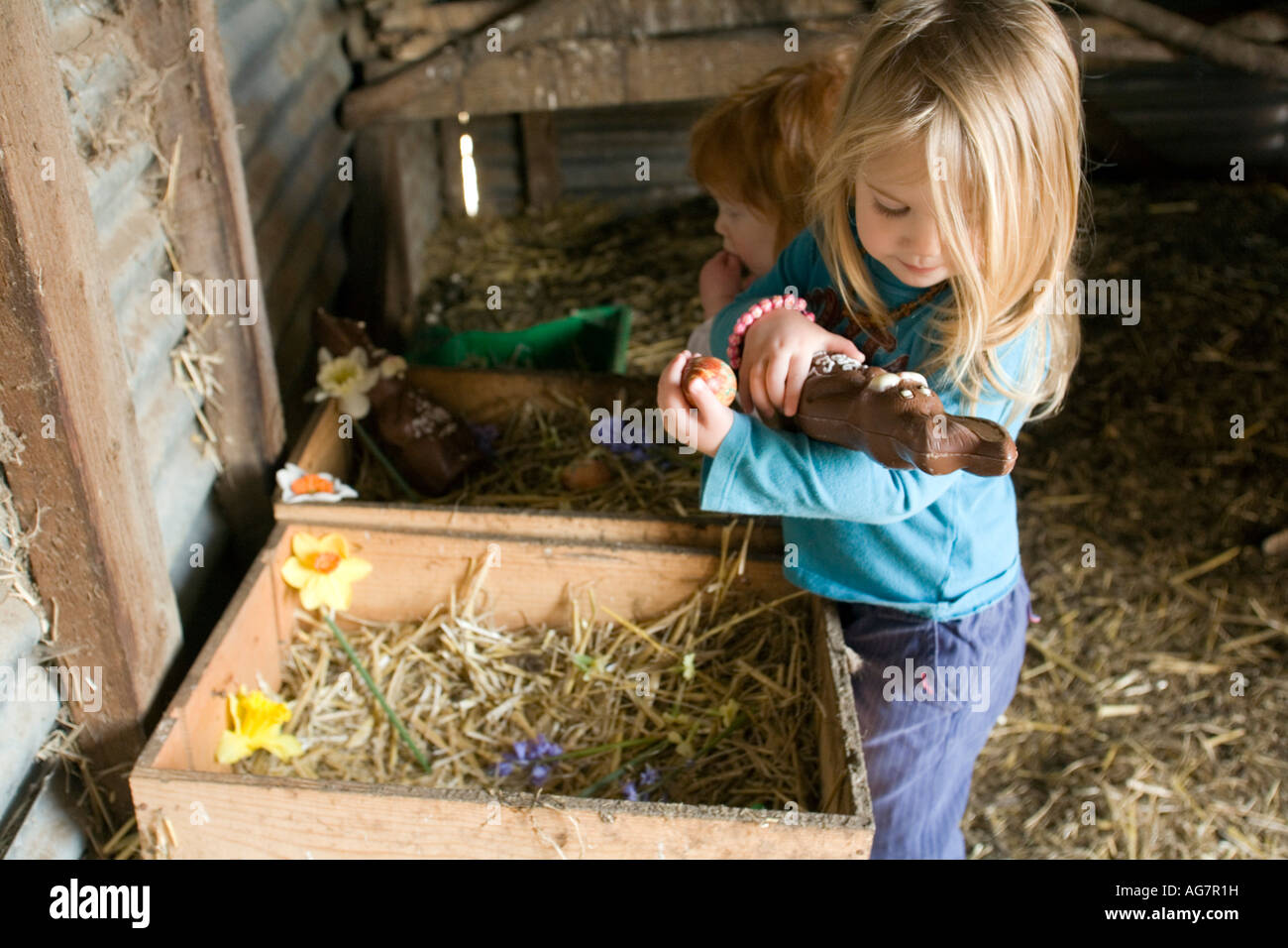 zwei Mädchen jagen zwei und drei Schokoladeneier und Hasen auf Osterei finden im Hühnerstall Stockfoto