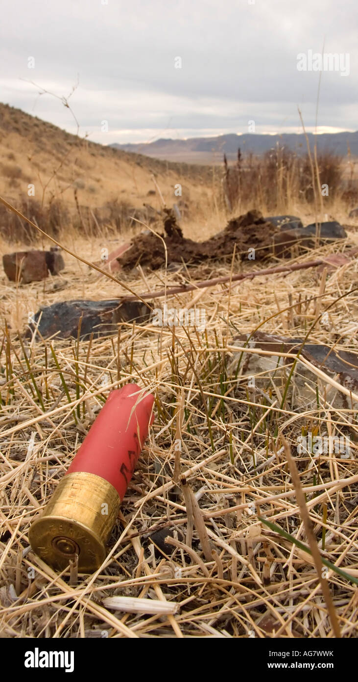 Shotgun Shell auf dem Boden verbracht Nevada Stockfoto