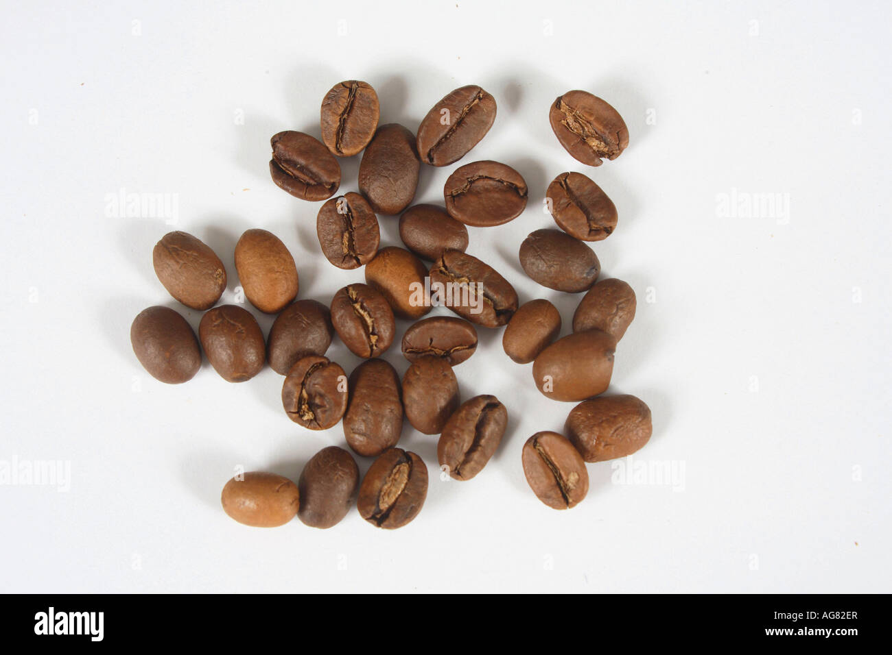Kaffeebohnen Indien Monsooned Malabar geröstet Coffea arabica Stockfoto