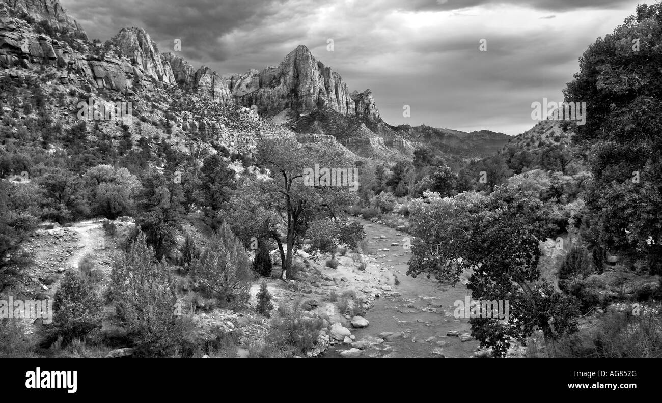 Am Nachmittag Licht auf den Virgin River Zion Nationalpark-Utah Stockfoto