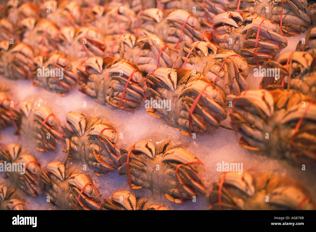 Krabben zum Verkauf am Fischmarkt Stockfoto