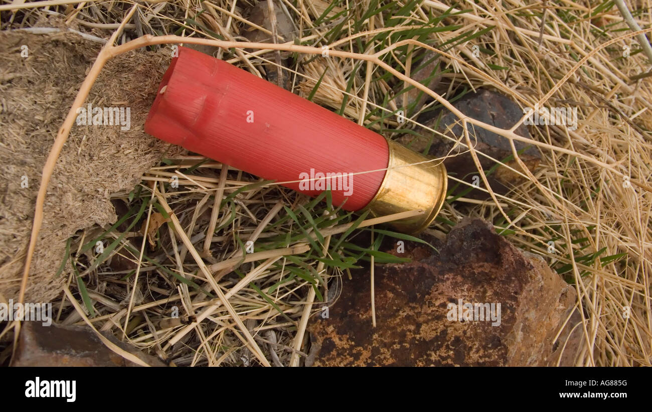 Shotgun Shell auf dem Boden verbracht Nevada Stockfoto