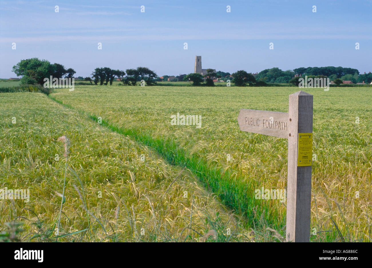 ÖFFENTLICHEN FUßWEG ZEICHEN IN BEREICHEN VON KULTURPFLANZEN HAPPISBURGH NORFOLK EAST ANGLIA ENGLAND UK Stockfoto