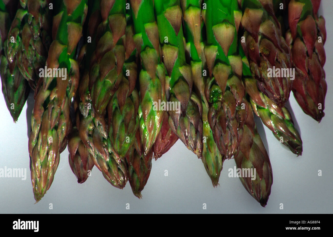 Grüner Spargel Stockfoto