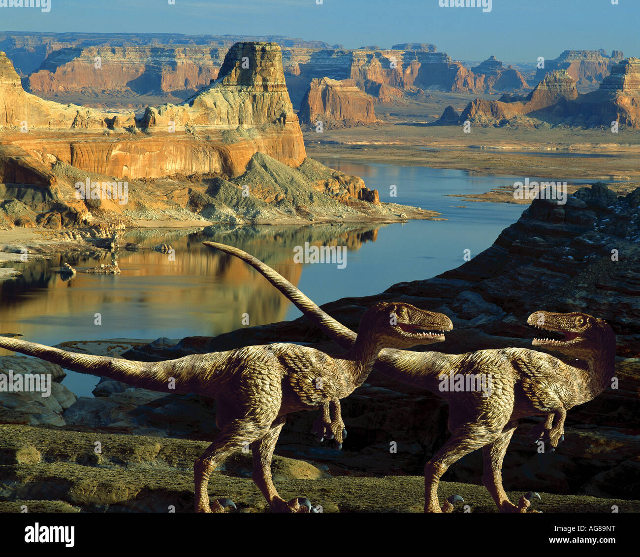 Velociraptor Dinosaurier im amerikanischen Südwesten Stockfoto