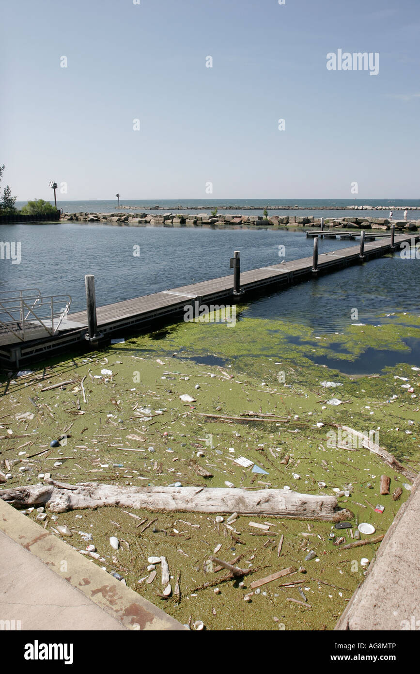 Ohio Cuyahoga County, Cleveland, Lake Erie, Edgewater Park, Algen, Verschmutzung, Trümmer, OH070730090 Stockfoto