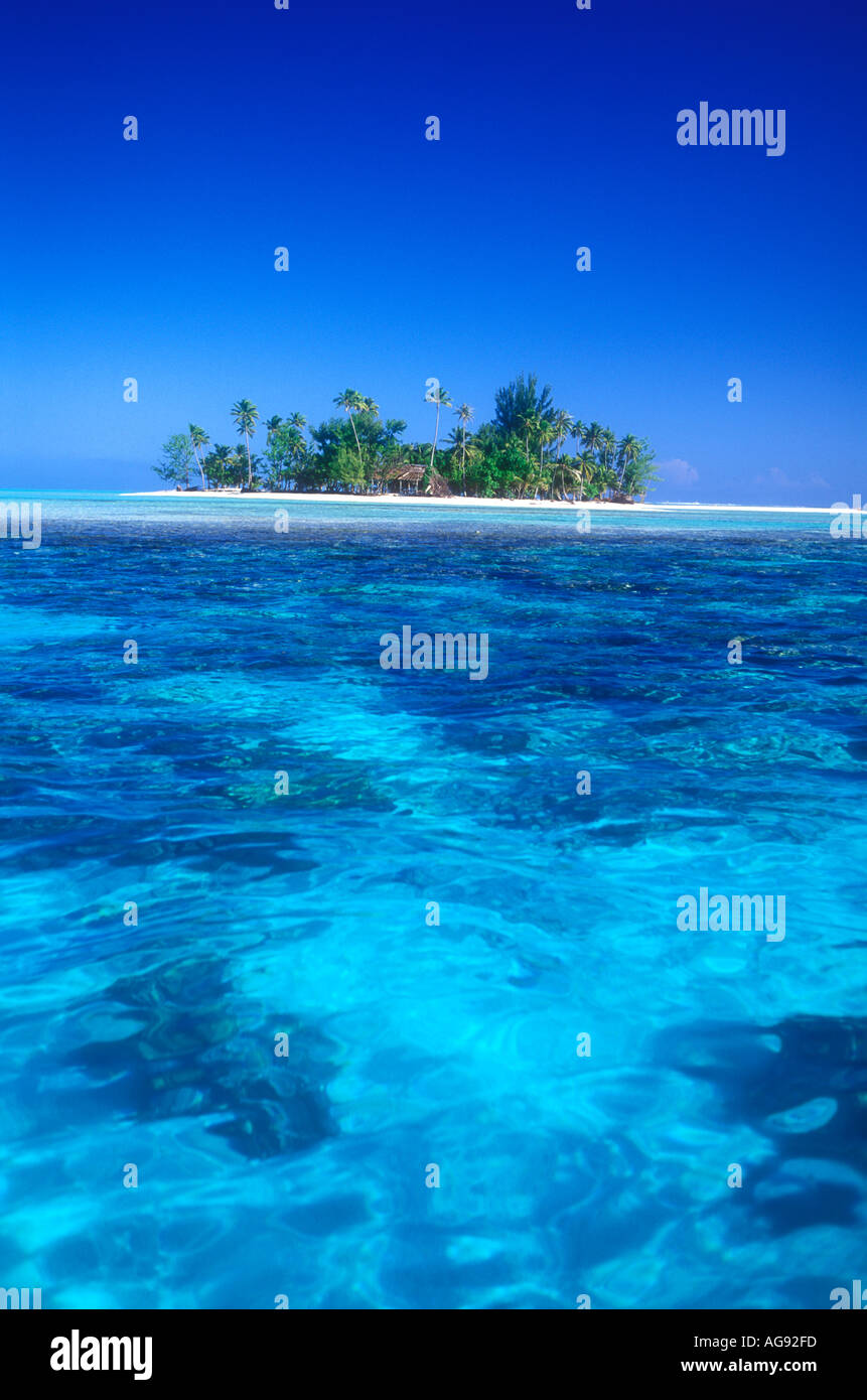 Kleine tropische Insel in der Nähe von Bora Bora Südpazifik in Tahiti Französisch-Polynesien Stockfoto