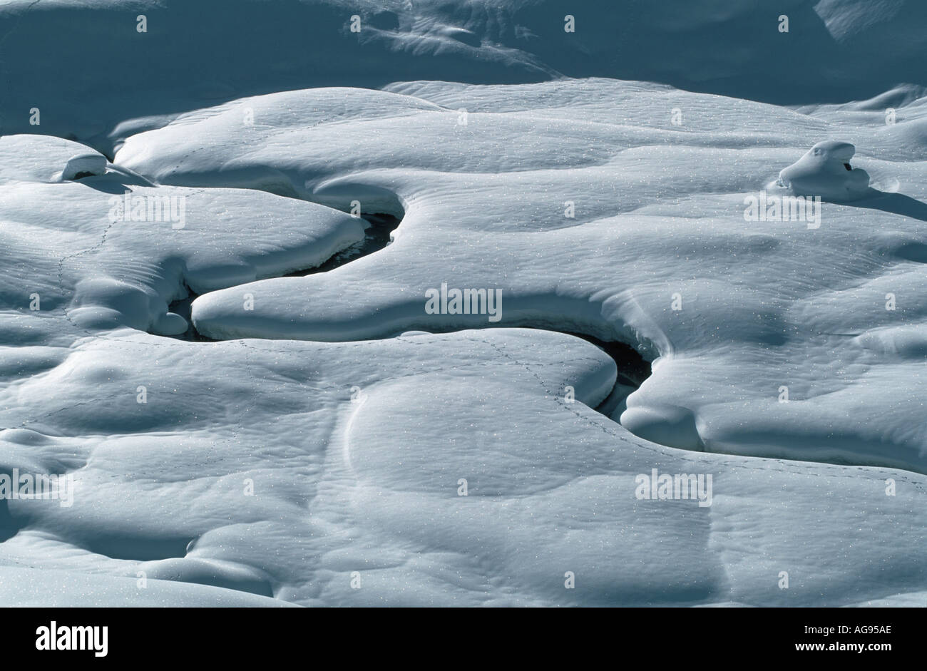 Ein Bach macht seinen Weg durch eine verschneite Winterlandschaft. Spuren zeigen die Anwesenheit von verschiedenen Tieren Stockfoto