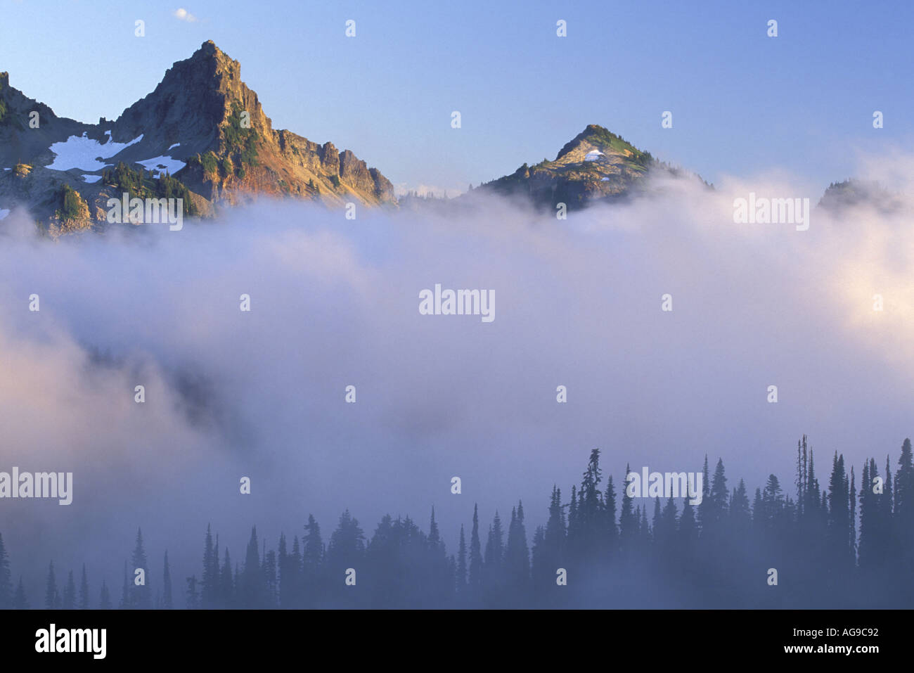 Pinnacle Peak und Plummer über Bäume Silhouette gegen Nebel Paradies Mount Rainier Nationalpark Washington Stockfoto