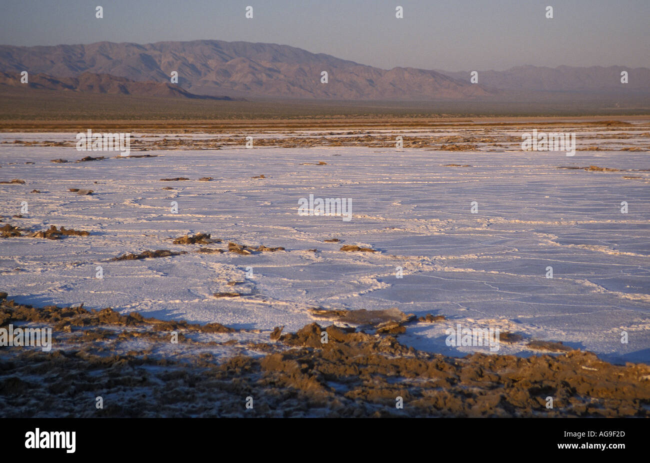 Kalifornischen Mojavewüste Salz verdampft auf Wüstenboden Stockfoto