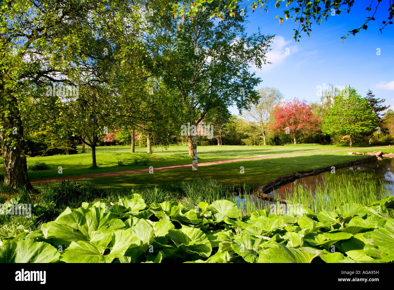 Queens Park in Swindon, Wiltshire, UK, England Stockfoto