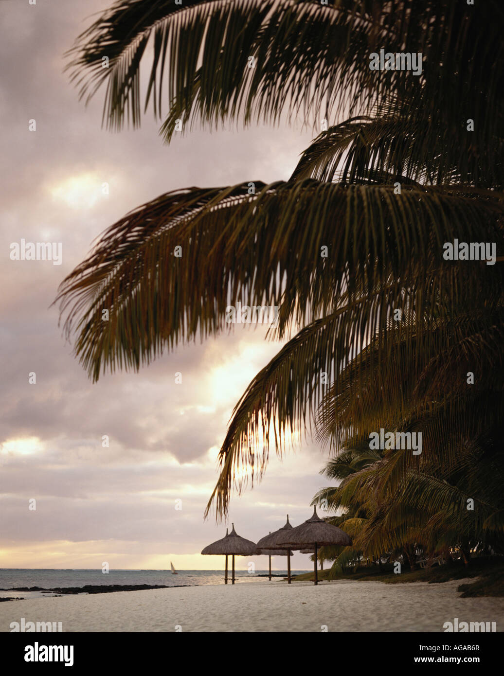 Sonnenaufgang am Palmen gesäumten Strand, Mauritius Indischer Ozean Stockfoto